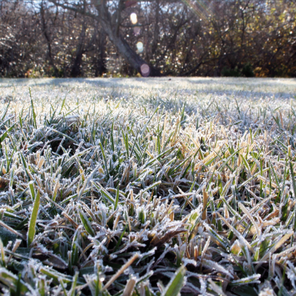 Skärmbild 2025-11-12 152538